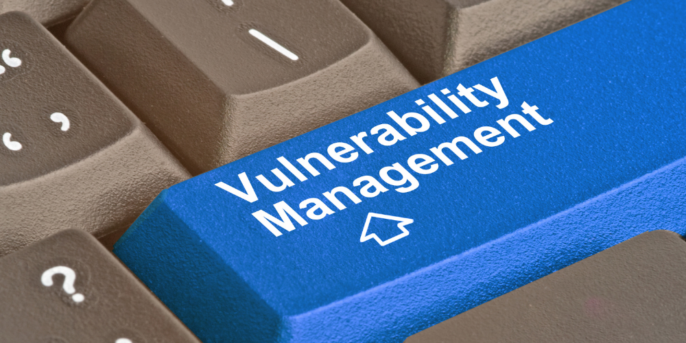 Vulnerability Assesment